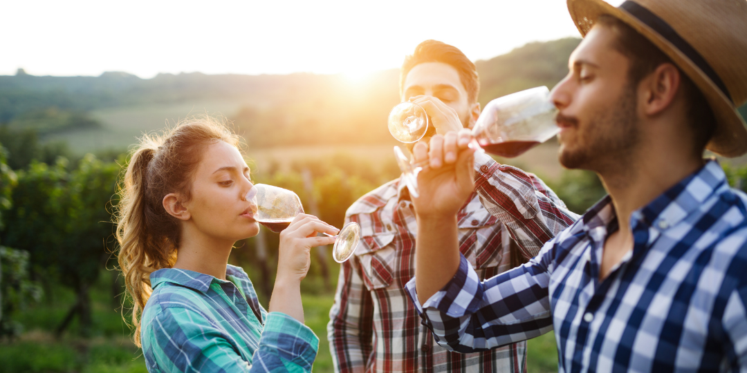 Tres jóvenes disfrutando de vino cerca de un viñedo, ilustrando el impacto del marketing de contenidos para el sector vinícola en la atracción de audiencias jóvenes.